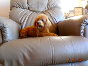 DSCN3486.JPG